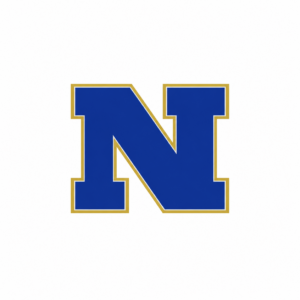 A bold blue capital letter N with a gold and white outline on a white background.